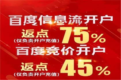 竞价推广的预算分配与优化：案例解读